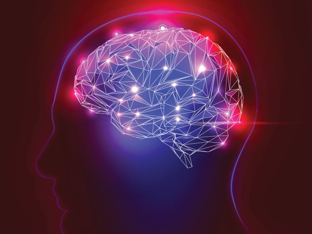 Human brain illustration representing investor psychology and decision-making